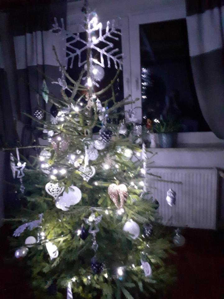 Willa dom w Junoszynie Junoszyno Zewnętrze zdjęcie